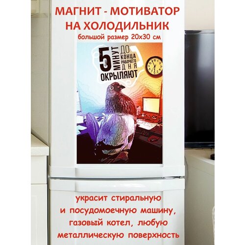 ���� ����� �� ����� �������� ��� �������� ��������� ������ ������ �� ����������� 20 �� 30 �� 790�