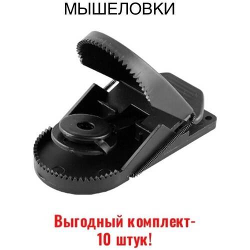 ��������� ����������� 10 �� �������� �� ����� � ���� 489�