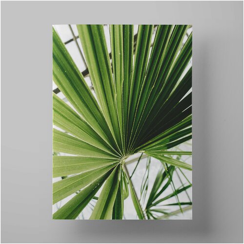    , Nature and plants 5070 ,     1200
