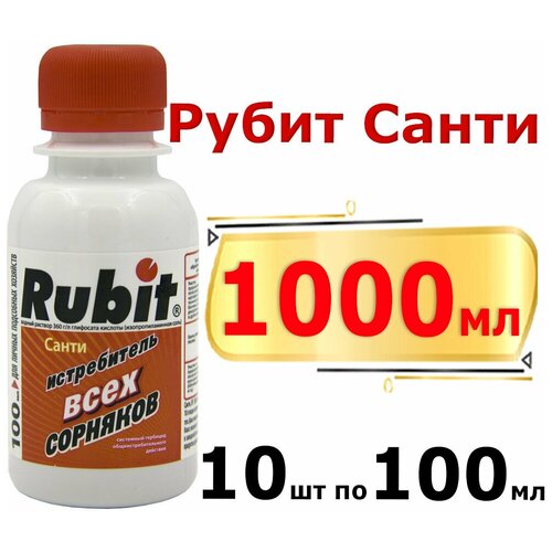  RUBIT SANTI    100 , 2 . 599