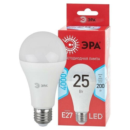   ECO LED A65-25W-840-E27 R (  25 . E27) (10/100/1200)  0048010 (10.) 1898