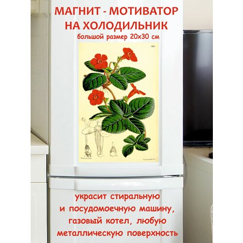 �������� ������ ������ �� ����������� 20 �� 30 �� 790�