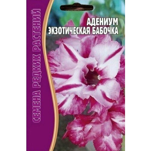 Редкие растения Адениум Экзотическая бабочка (3шт семян) 390р