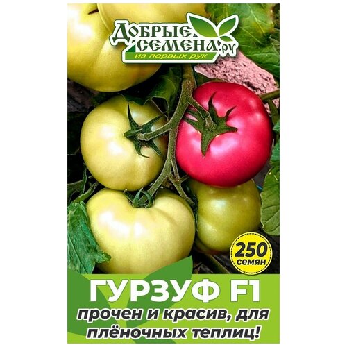 Семена томата Гурзуф F1 - 250 шт - Добрые Семена.ру 2063р