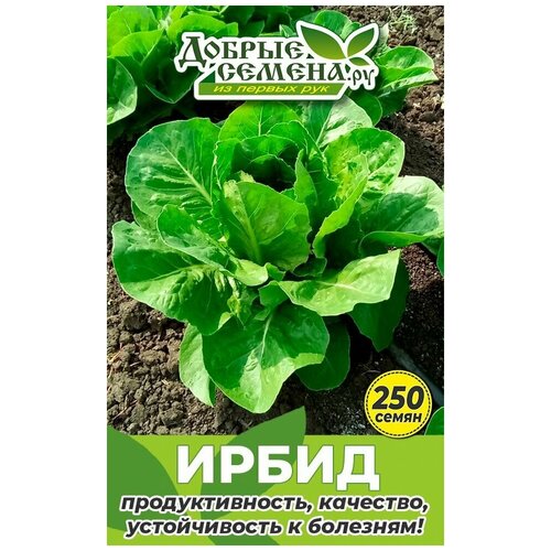 Семена салата Ирбид - 250 шт - Добрые Семена.ру 144р