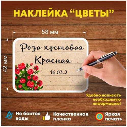 �������� ��� ������� 48 �� �� ��������. 249�
