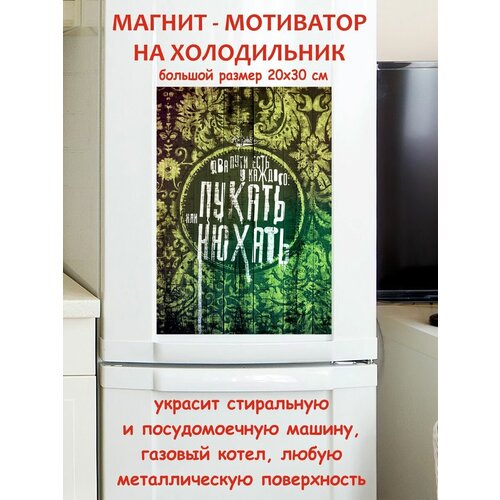 � ������� ���� ��� ���� ��������� ������ ������ �� ����������� 20 �� 30 �� 790�