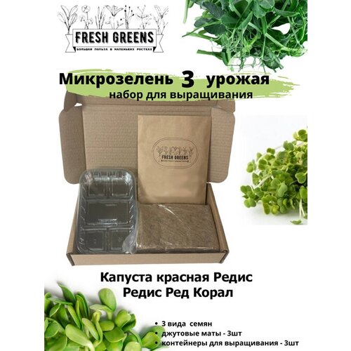 Микрозелень для выращивания Набор Fresh Greens (Капуста краснокочанная Редис Редис Ред Корал) 386р