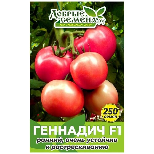 Семена томата Геннадич F1 - 250 шт - Добрые Семена.ру 1403р