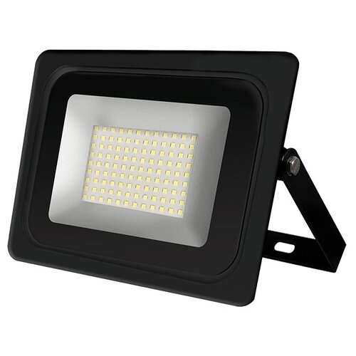  LED 100W 6500K IP65   IONICH 833