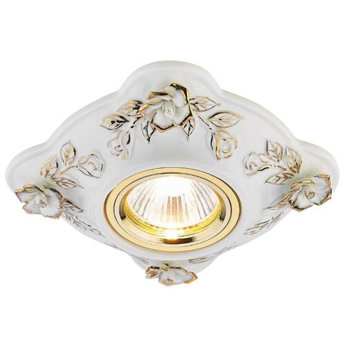     Ambrella Light D5504 W/GD 808