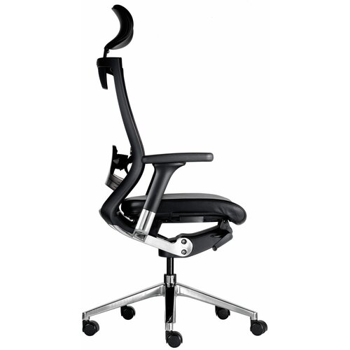   Milani X-chair   +    3D  95645