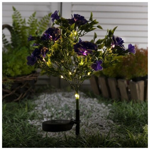 Luazon Lighting ������� ���������� �� ��������� ������� ������, 62 ��, 28 LED, �������� ����� ����� 1289�