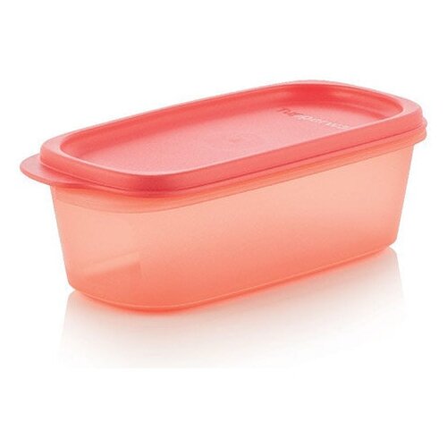 Tupperware   500  499