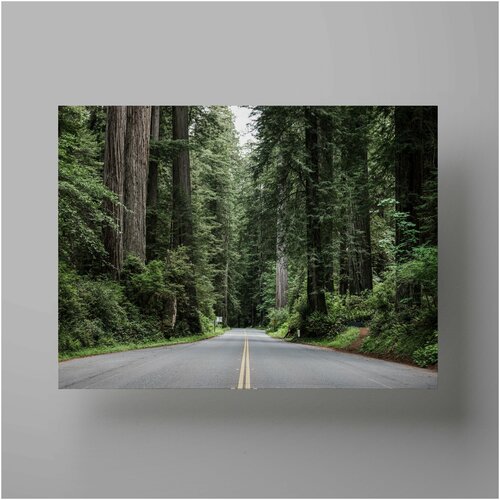    , Road in the forest 3040 ,,      ,  590   