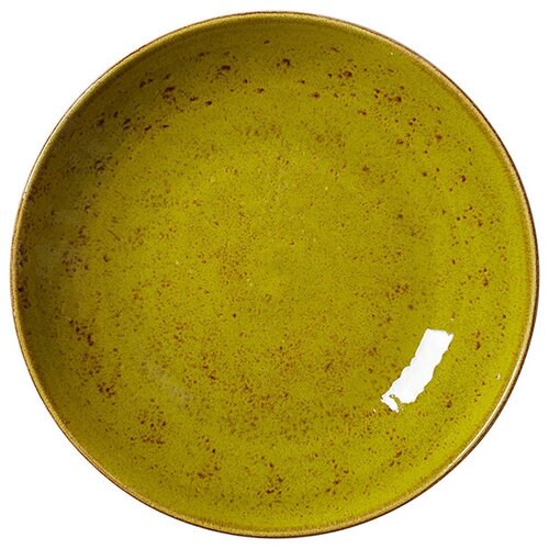 �������� ������ ���� 1 � D=25,5 �� Steelite 3034206 1211 0569 2310�