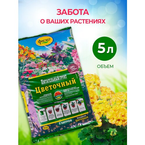 ����� ��� ������ 5 � 198�