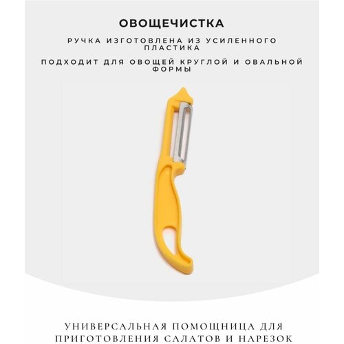 ����������� 172�