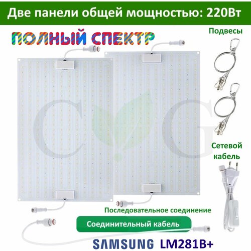    ( ) 220 ,  CG 2200L,  Samsung LM281b, 3342 . 6000, 395-730.  7376