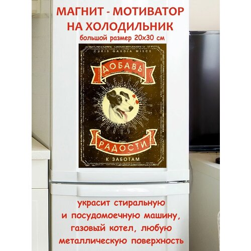 ������ ������� � ������� ��������� ������ ������ �� ����������� 20 �� 30 �� 790�