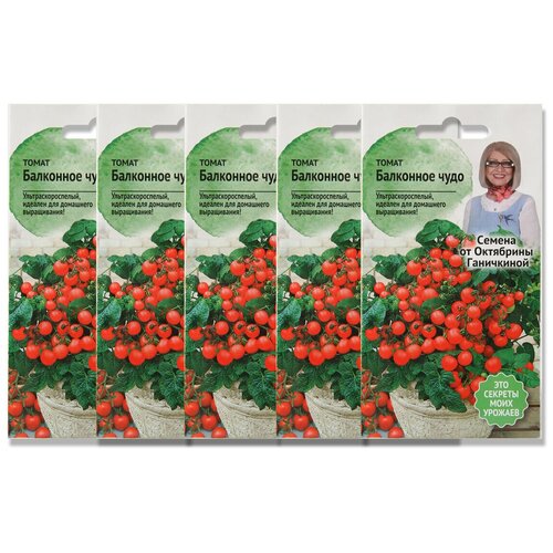 Томат Балконное чудо 0,1 г для выращивания / семена томатов для посадки / помидор для открытого грунта / 149р