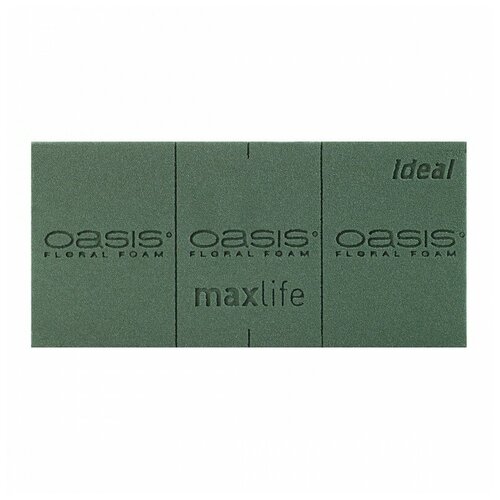 ����� �������������� (����), Oasis(��������), 23�11�8�� 270�