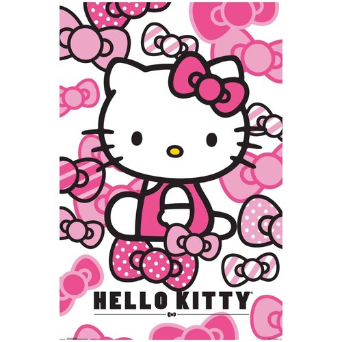  /  /  Hello Kitty 4050     990