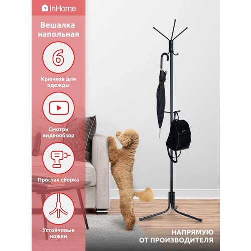 ��������� ������������� ������� InHome � �������� ��� ������� ������, �����, ����, ������, ������� 1150�