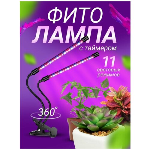 ��������� ��� ��������, ��������� �� ��������, � �������� 1050�