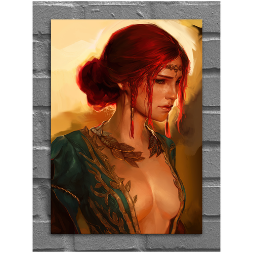  the Witcher:   Triss,  4 400