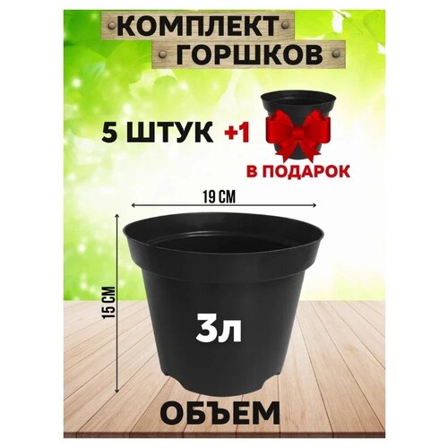 ����� ������� - 6 �� (������) 3 � ���� ������� 410�