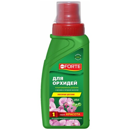 ��������� bona forte 365�