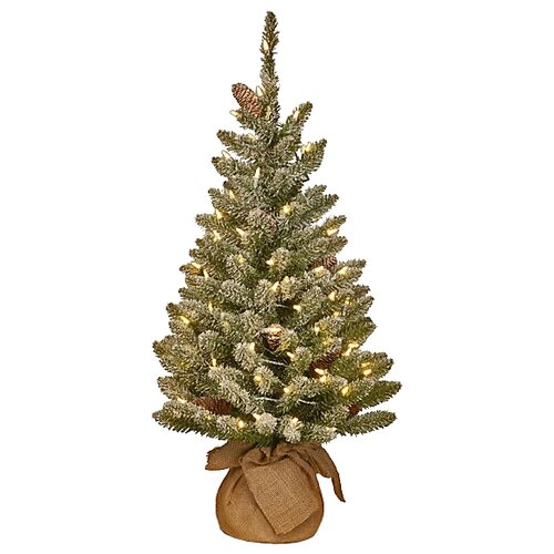 National Tree Company ���������� ���� � ���������� ������ ��������� 61 ��, 50 ������ ����� ����, ��� 31SCB2BL 6897�