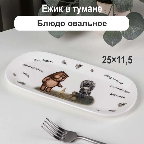 ����� �������� ���������� ���� � ������ 25�11,5 �� ����� 1300�