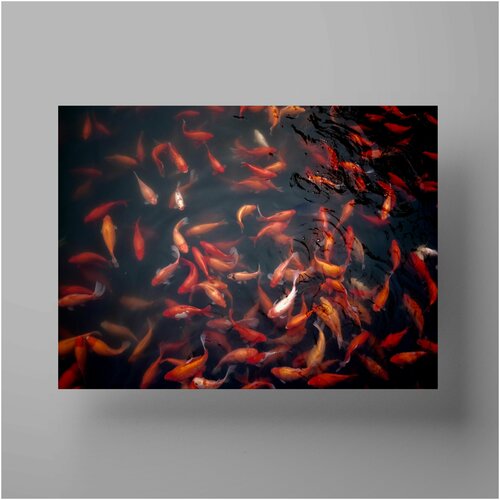   , Fish 30x40 ,     590