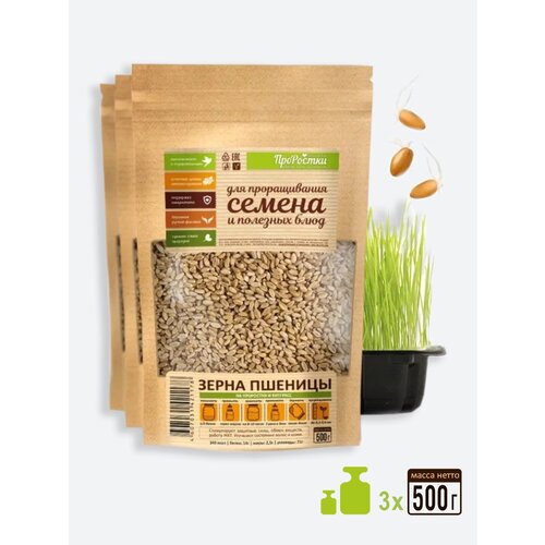 Пшеница для проращивания (на проростки, витграс, сок ростков), 3 шт. по 500 г 379р