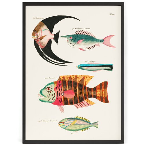         50 x 40   ,  990  Nippon Prints