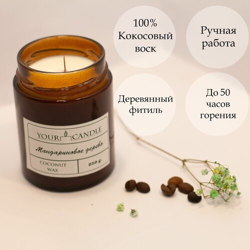     YOURCANDLE  ,  1000   