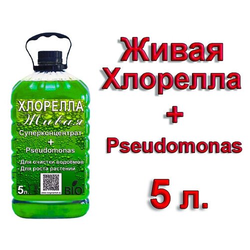 ��������������� �������� + �������� �������� Pseudomonas, 5 ������ 400�