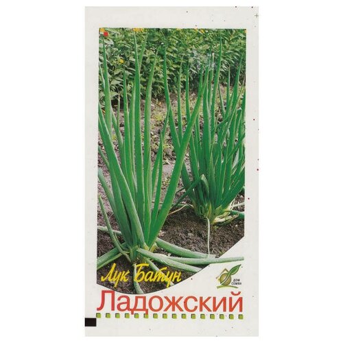 Семена Лук батун Ладожский 235шт для дачи, сада, огорода, теплицы / рассады в домашних условиях 376р