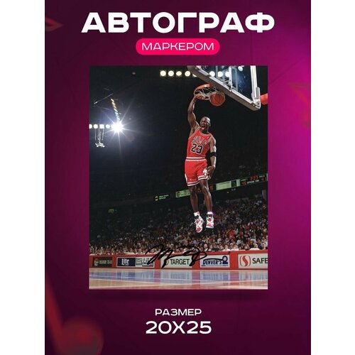      - Michael Jordan NBA Bulls -   , , ,  2025  849