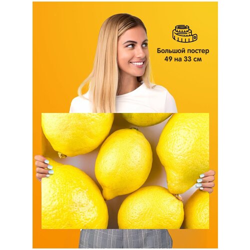   Lemons ,  339  1st color