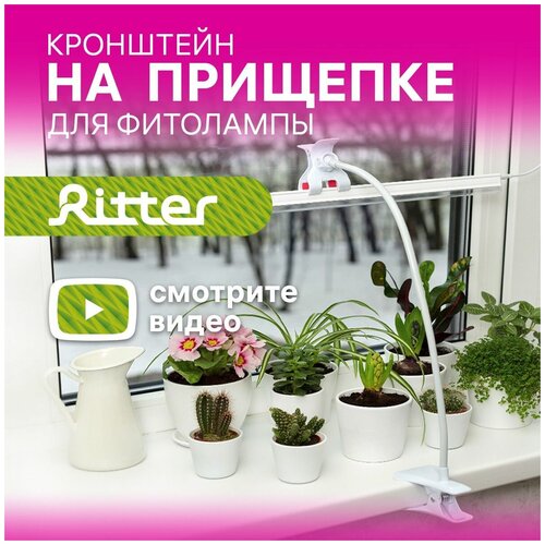 ��������� ������ � ��������� � ���������� ��� ��������� �5 Ritter PLANTA, �����, �������/������, 56295 5 781�