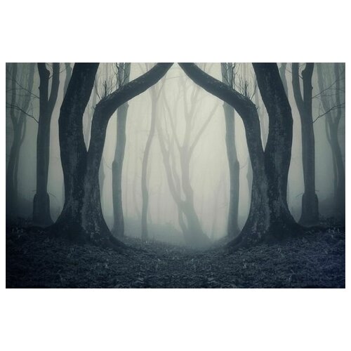       (Fog in the forest) 2 45. x 30. 1340