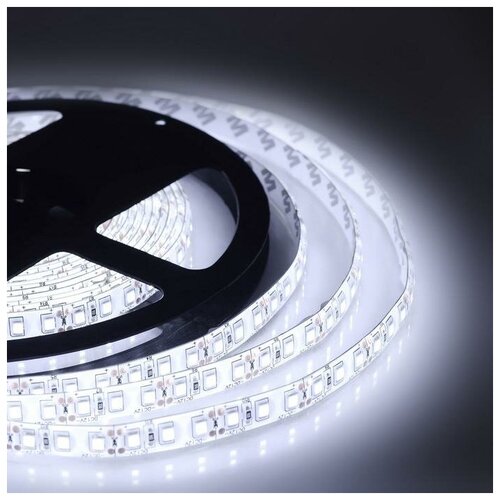 C  Apeyron Electrics 5 , IP65, SMD2835, 120 LED/, 9.6 /, 12 , 6500 1337