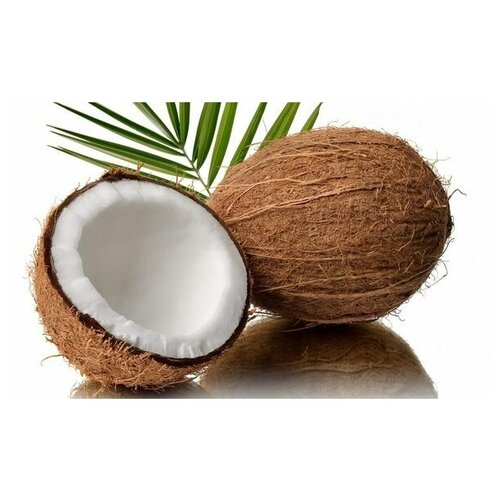     (Coconut) 1 50. x 30. 1430