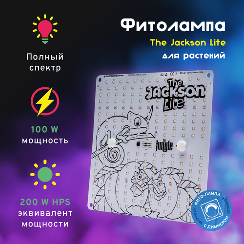 LED  The Jackson 100W Lite   16500