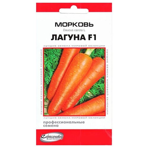 Семена Морковь Лагуна F1 190шт для дачи, сада, огорода, теплицы / рассады в домашних условиях 376р