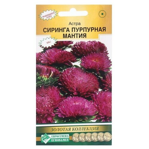 Семена Цветов Астра сиринга Пурпурная мантия, 0,1 г(3 шт.) 320р