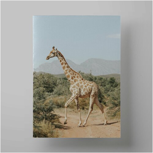  , Giraffe 50x70 ,     1200